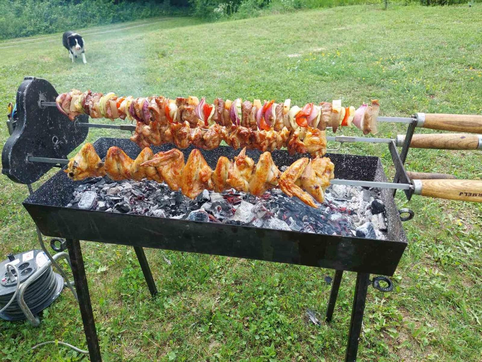 Brvnara Kraj Dunava Zelena Oaza Banostor Exteriér fotografie